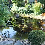 Haefner Aparthotel Bad Schonborn