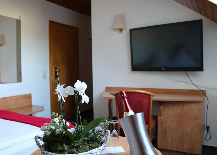 Häfner Bad Schonborn